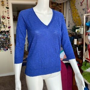 Blue Aerie V-neck sweater size large